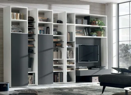 Bookcase in White Lacquered and Smoke