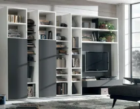 Bookcase in White Lacquered and Smoke