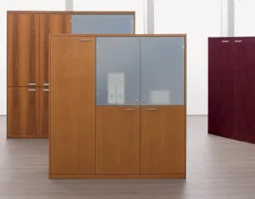 Wardrobe in Wood and Acid Glass